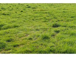 Vente terrain 570 m² à Pignans (83790)  157 000 €