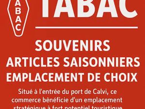 Vente locaux professionnels 2 pièces 30 m² à Calvi (20260)  199 500 €