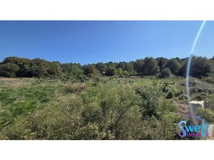 Vente terrain à batir 1787 m² à Saint-Michel-Escalus (40550)  270 000 €