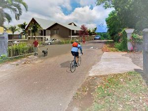 ESPACE PATRIMOINE ANTILLES