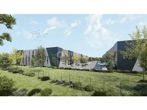 ACTIVITE NEUF A LOUER