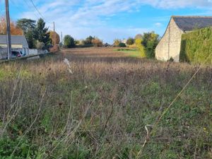 Terrain à vendre - Coteaux-sur-Loire (37) - 45 000€