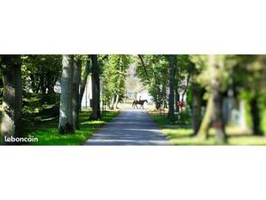 RARE TERRAIN CONSTRUCTIBLE- Domaine du Lys  Lamorlaye  Parcelle constructible de 5 000 m² 