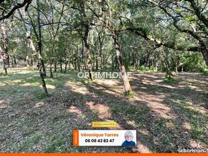 Terrain 1 181 m² Montaigut Sur Save