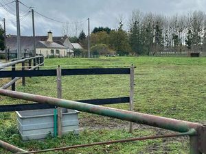 Loue champs pour chevaux