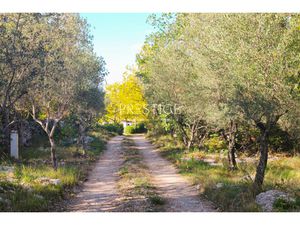 Annonce maison à vendre