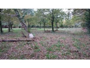 Achat Terrain 2 140m² LA TURBALLE 44420