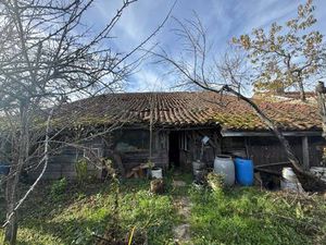 Mme. Monica de Figueiredo