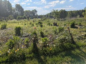 Vente terrain 918 m² Wanquetin (62123)