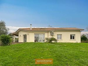 Monsieur Philippe Micon