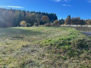 Terrain constructible viabilisé à vendre