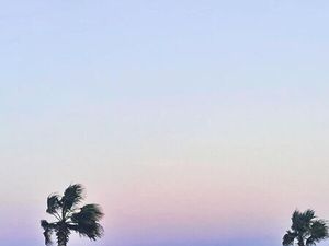 Vente maison 2 pièces 40 m² Le Barcarès (66420)