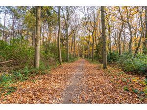 Grond te koop in Wuustwezel