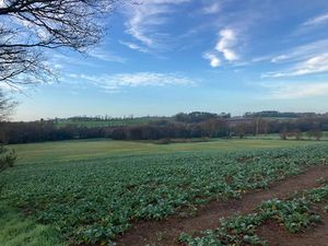 Vente terrain à Pluvigner (56330)  65 520 €