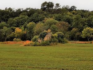 Vente terrain 500 m² à Leuc (11250)  52 000 €