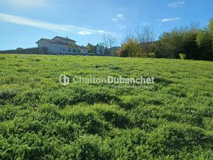 Vente terrain 1453 m² à Saint-Haon-le-Châtel (42370)  97 000 €