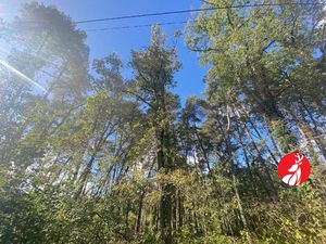 Vente terrain 1000 m² à Arbonne-la-Forêt (77630)  139 000 €