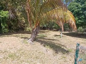 Vente terrain 590 m² à Saint-Denis (97400)  139 000 €