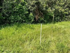 Vente terrain 440 m² à Septemes-les-vallons (13240)  240 000 €