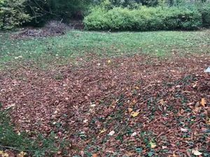 Vente terrain 1017 m² à Medan (78670)  395 000 €