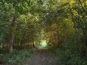 A vendre - terrain 1 hectare