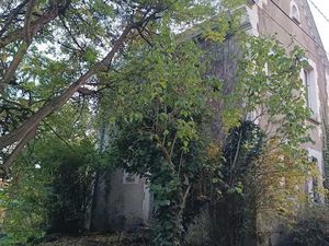 Location meublée maison 4 pièces 90 m² à Chouzy-sur-Cisse (41150)  835 €