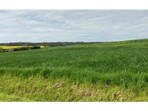 Terrain Grisolles m² T- à vendre  45 000 €