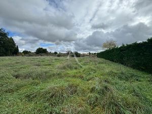 Graulhet . Terrain de 1448 m²