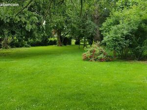 Chambre à louer dans une propriété de 4000m2