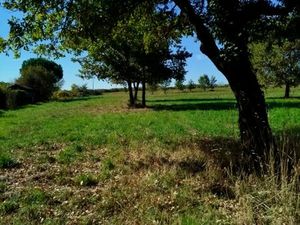 Achat Terrain 1 031m²