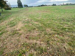 Terrain constructible de 10000m2