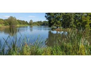 Achat : Appartement (78990)