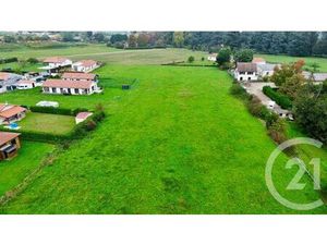 Terrain à vendre - 11700 m2 - Labastide Villefranche - 64 - AQUITAINE