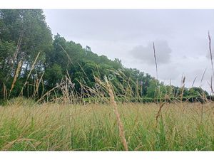 Annonce terrain à vendre