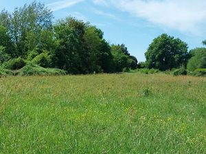 Vente terrain 3199 m² à Saint-Médard-de-Mussidan (24400)  29 000 €