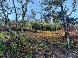 Vente terrain 1150 m² à Labastide-de-Virac (07150)  88 000 €