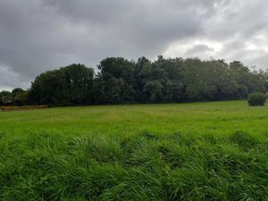 Vente terrain 1400 m² à Sadirac (33670)  140 000 €