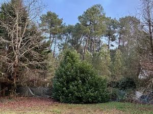 Vente terrain 700 m² à Martillac (33650)  179 900 €