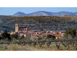 Vente terrain 409 m² à Baixas (66390)  122 000 €