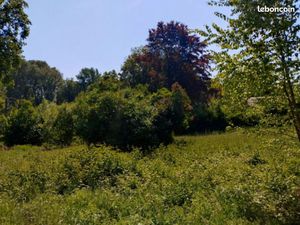 Achat Terrain 1 185m²