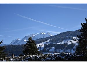 Combloux chalet T5 Haut de gamme Vue Mt Blanc LMNP