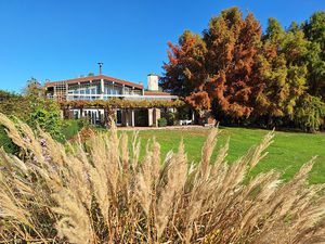 Domaine en plein cœur de la Forêt d’Orléans de 15 4HA avec un étang.