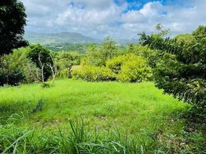 Terrain 1 200 m² Le Vauclin