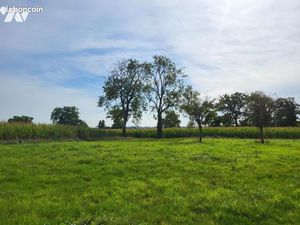 Terrain 85000 m² MONTCHAMP