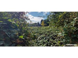 Terrain constructible