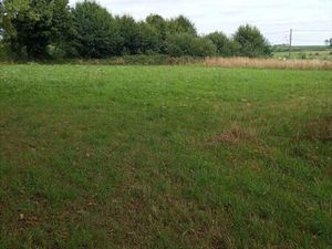 Bien agricole 7069 m² Clairfontaine