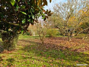 Terrain constructible