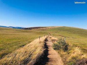 Restaurant d'altitude sur la route des Crêtes - Auberge traditionnelle