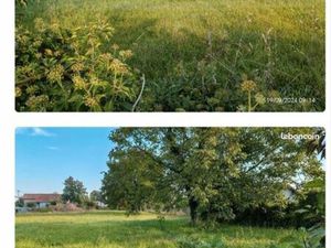 Terrains constructible