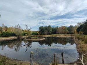 SQUARE HABITAT ORLEANS BANNIER